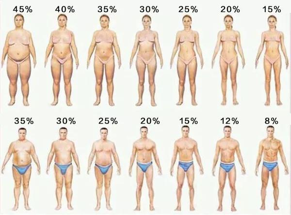 What Is Body Fat Percentage How Much Body Fat Is Normal For Men And Women Inews
