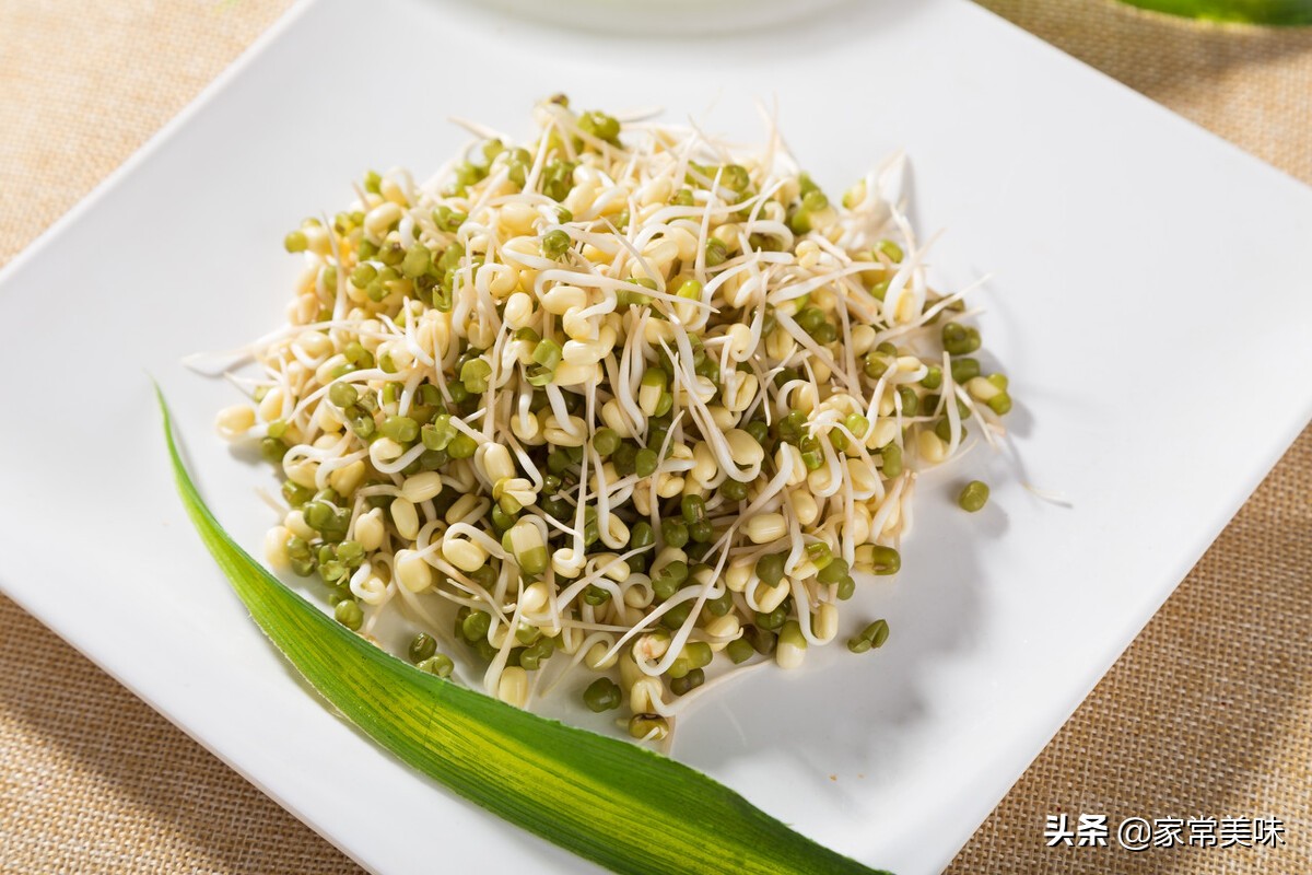 What is the difference between soybean sprouts and mung bean sprouts?Professional answer here