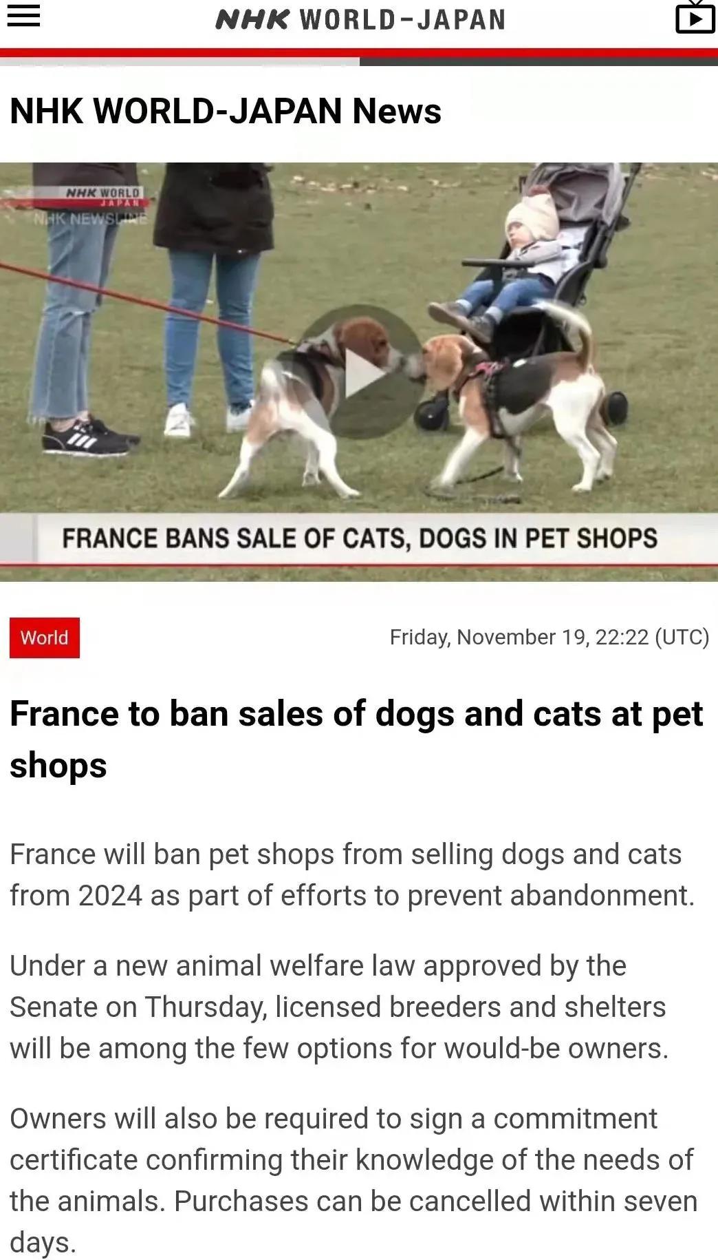 Pass legislation!France has banned the sale of cats and dogs in pet