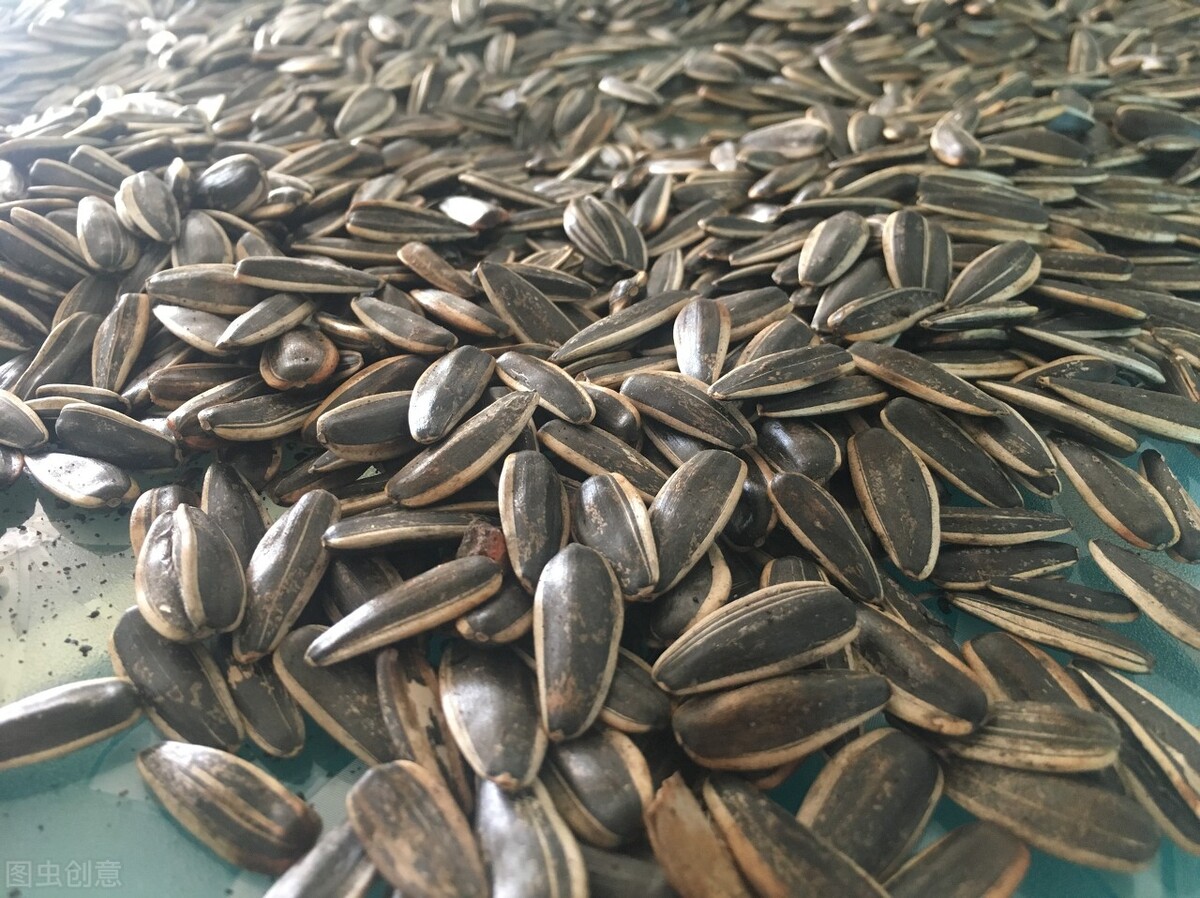 Does eating melon seeds affect uric acid? iMedia