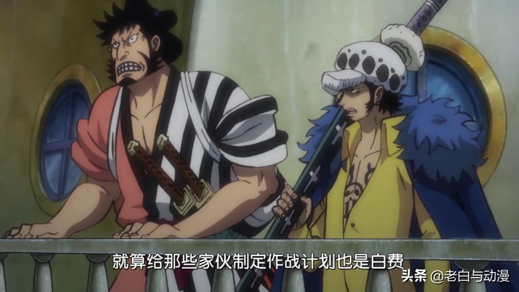 One Piece Episode 981 The Chisao Nine Heroes Hold A Combat Meeting Luo Can T Stand It Anymore Come Out To Offer Inews