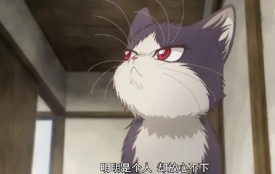 同居人是猫 这是一部看了有养猫冲动的治愈番 资讯咖