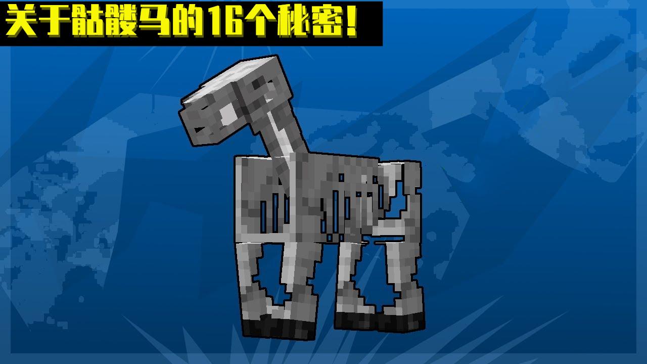 How to get a skeleton horse in mc?Minecraft 16 "cold" knowledge about
