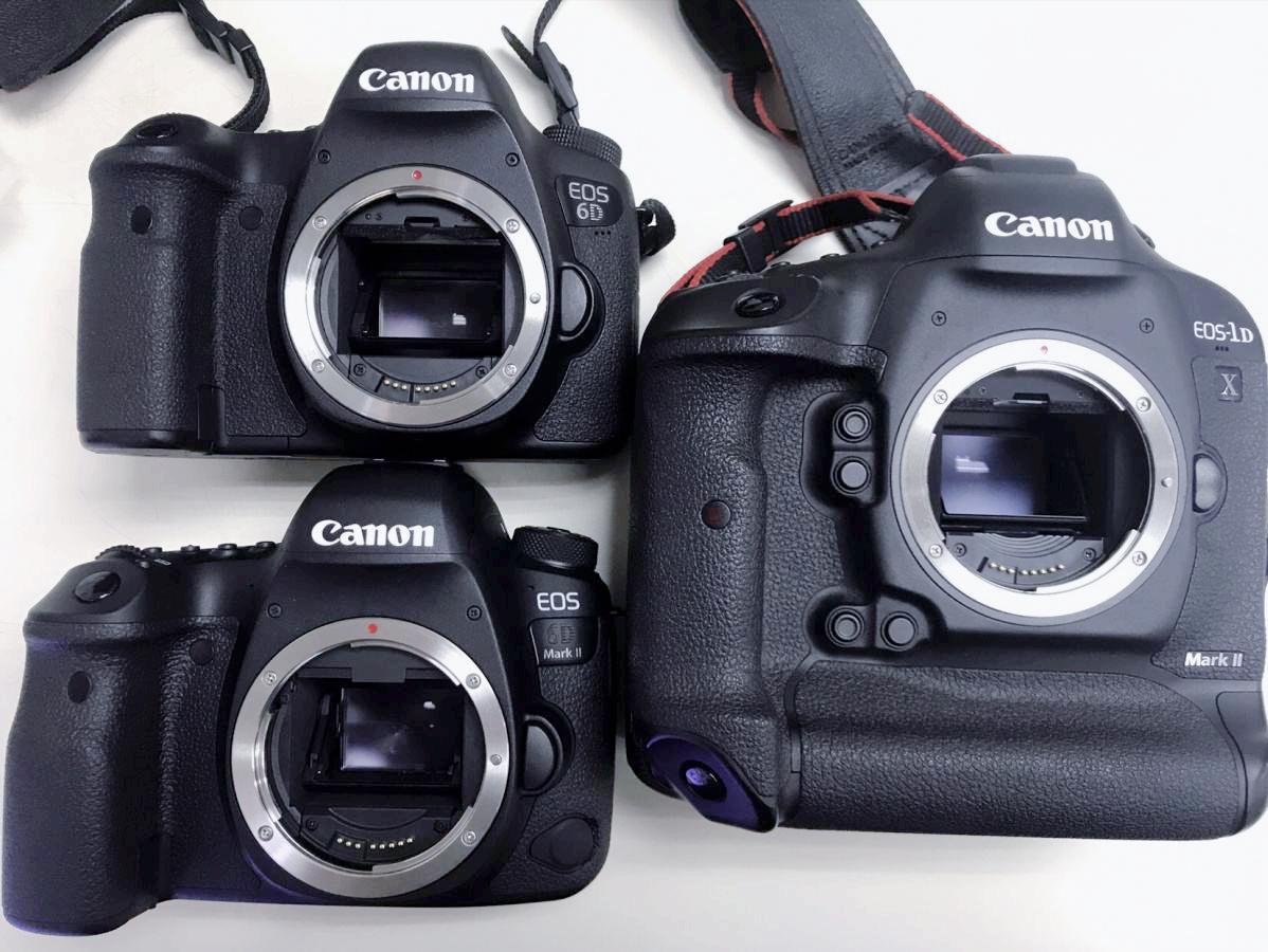Canon FullFrame SLR and Mirrorless Cameras What Are the Pros and Cons