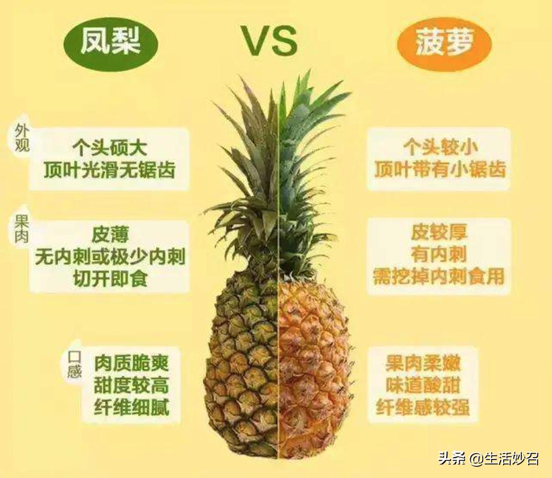 There are 4 differences between pineapple and pineapple - iMedia