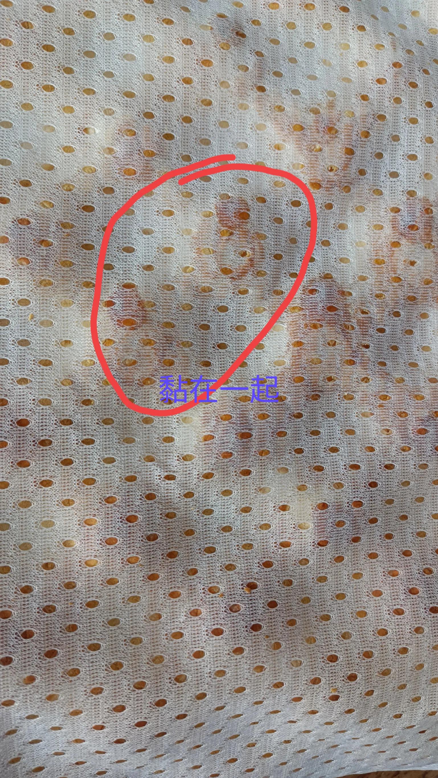 The pros and cons of latex pillows iMedia