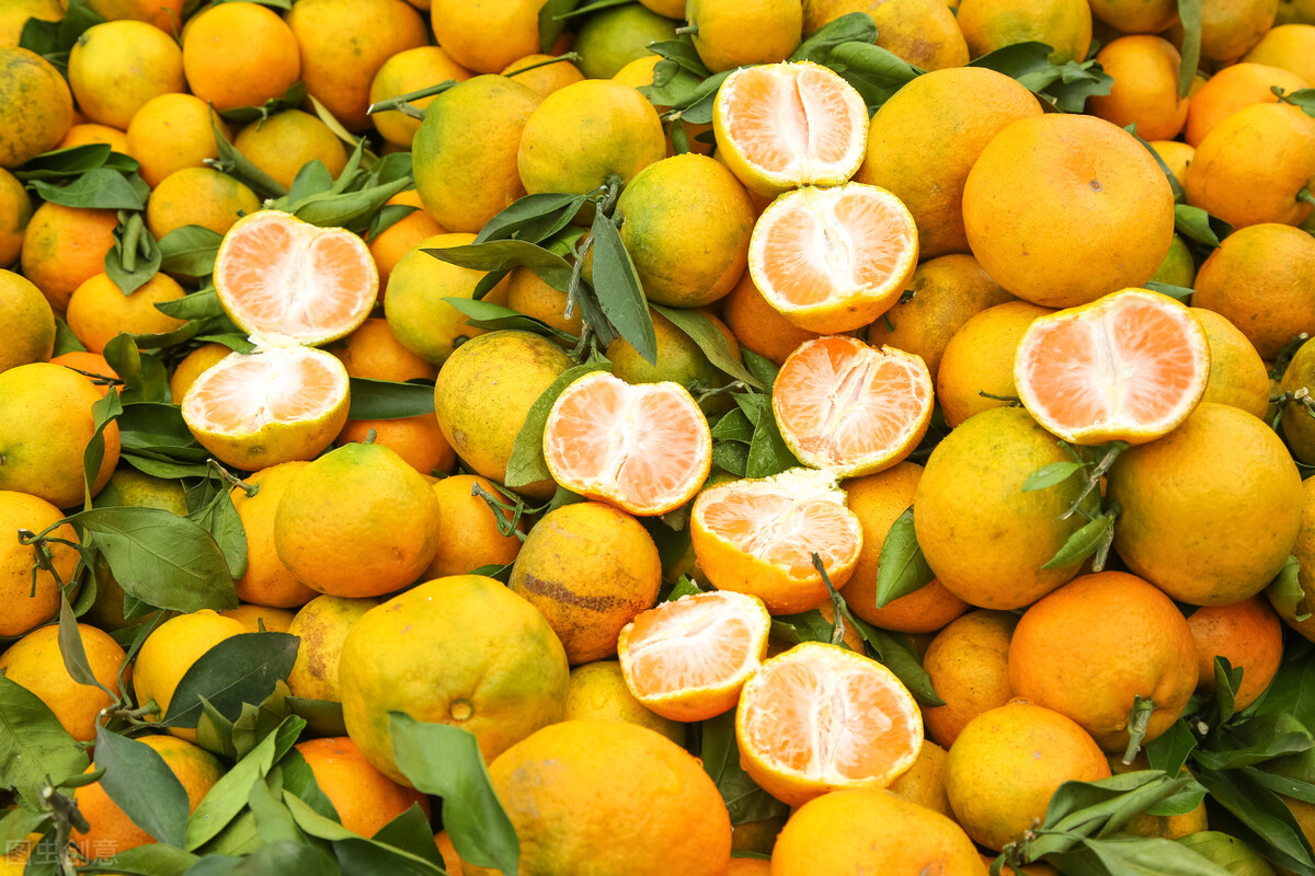 When buying oranges, be sure to choose the "mother", keep these 4 points in mind, and ensure