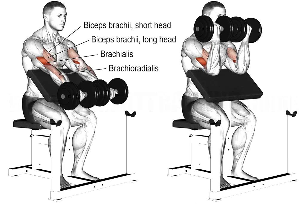  Yao Fitness Exercises All Over The Body You Only Need A Pair Of 