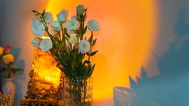 2月19日恋爱运第一名是摩羯座 将会集异性的应援于一身 资讯咖