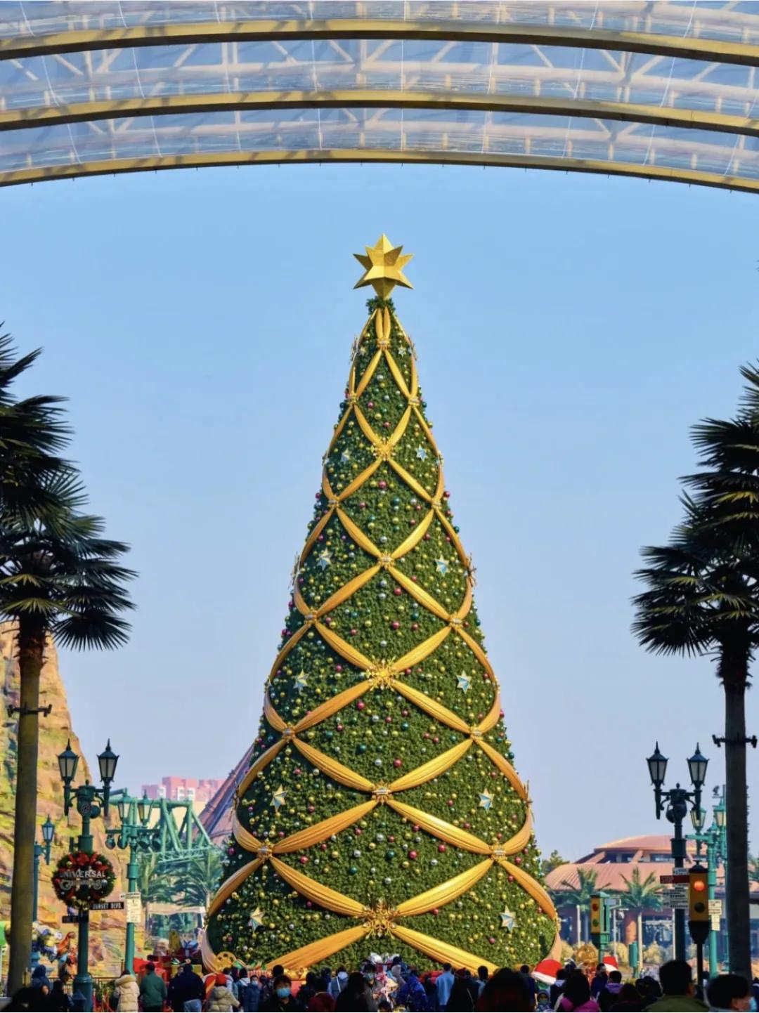 The three Christmas trees with the strongest Christmas atmosphere