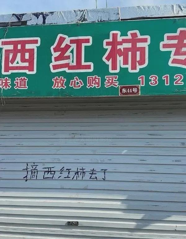 Alternative Store Name Talented IMedia