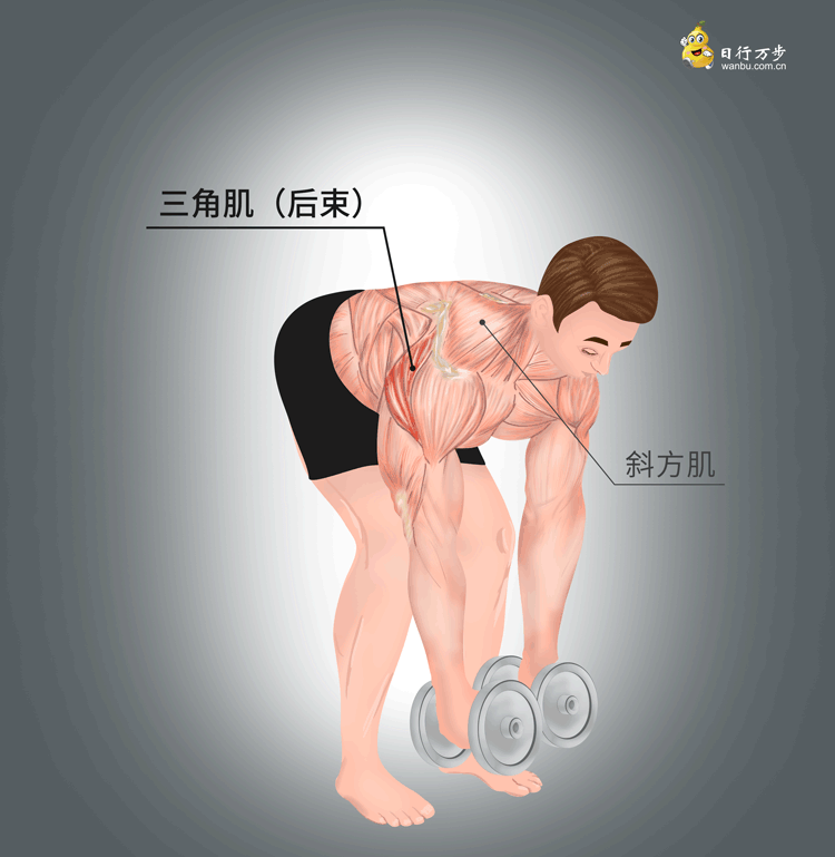 Shoulder pain and difficulty lifting your arm?Teach you a few tricks to