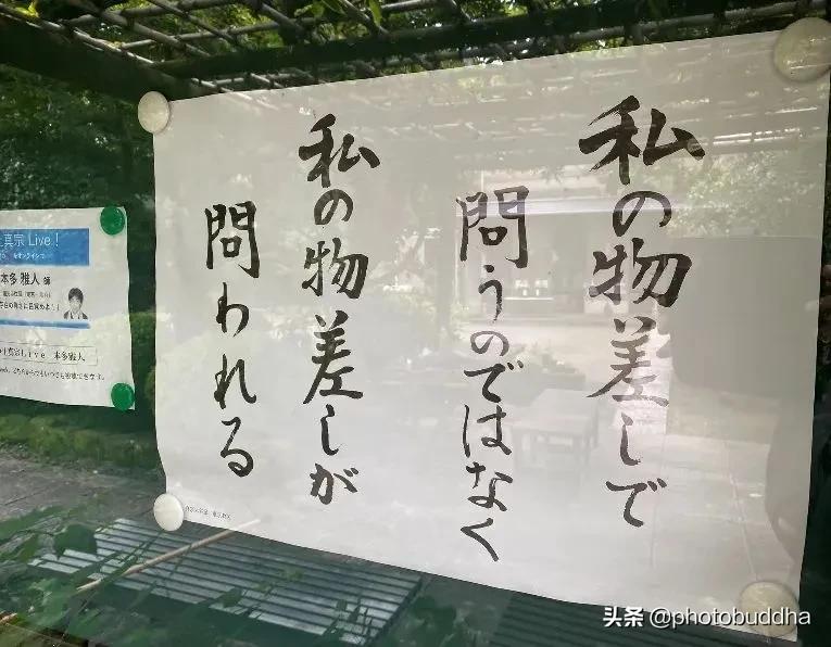 The Japanese temple's annual heartwrenching copy is here again "Don't