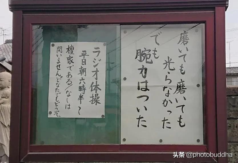 The Japanese temple's annual heartwrenching copy is here again "Don't