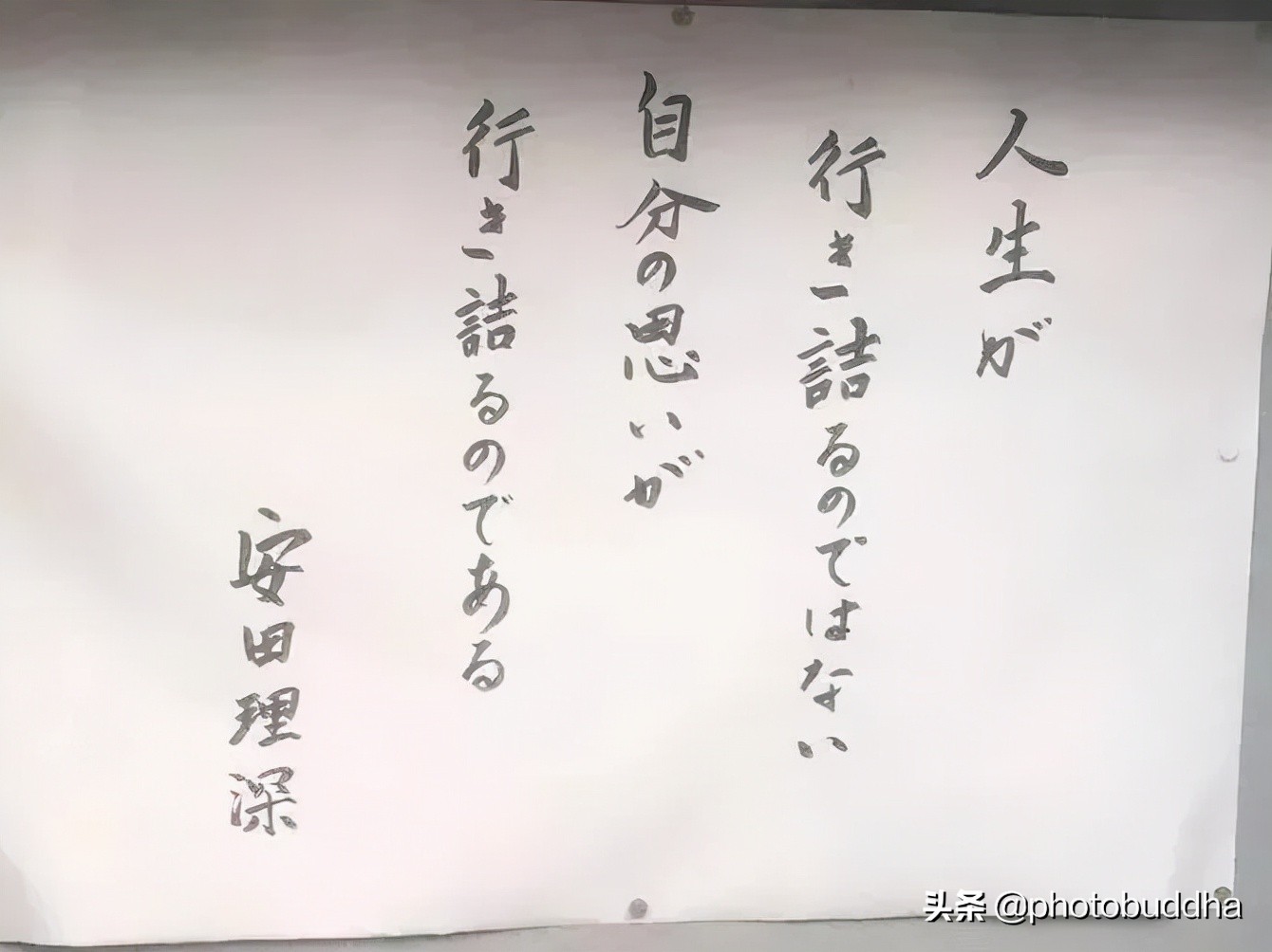 The Japanese temple's annual heartwrenching copy is here again "Don't