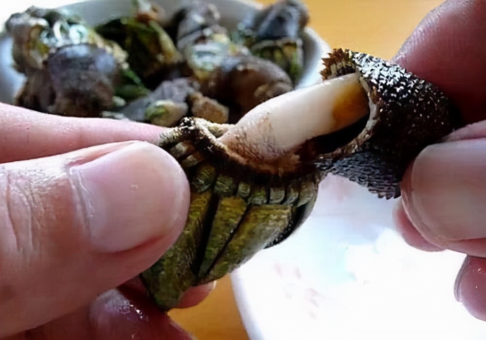 Top 10 Most Expensive Seafood in the World!up to millions of dollars iMedia