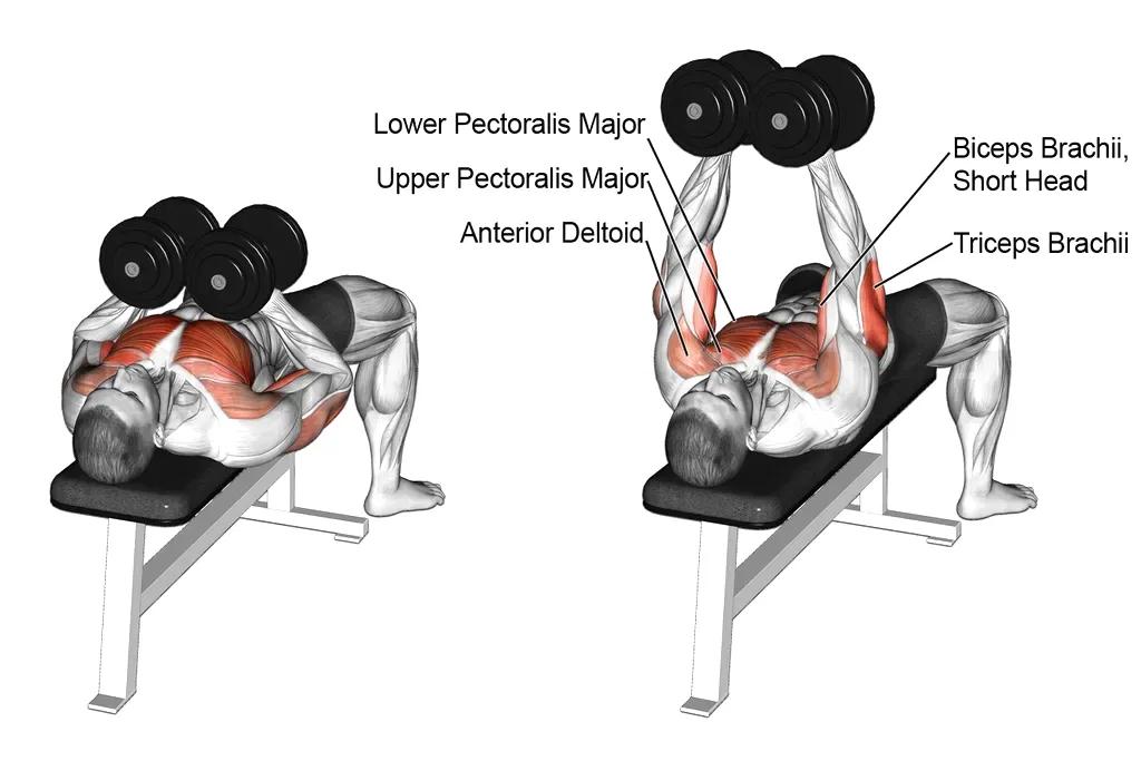 Yao Fitness Exercises All Over The Body You Only Need A Pair Of 