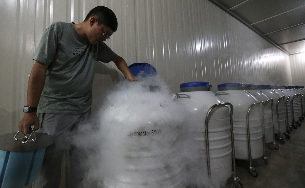 how-terrible-is-liquid-nitrogen-at-minus-196-degrees-what-happens-when