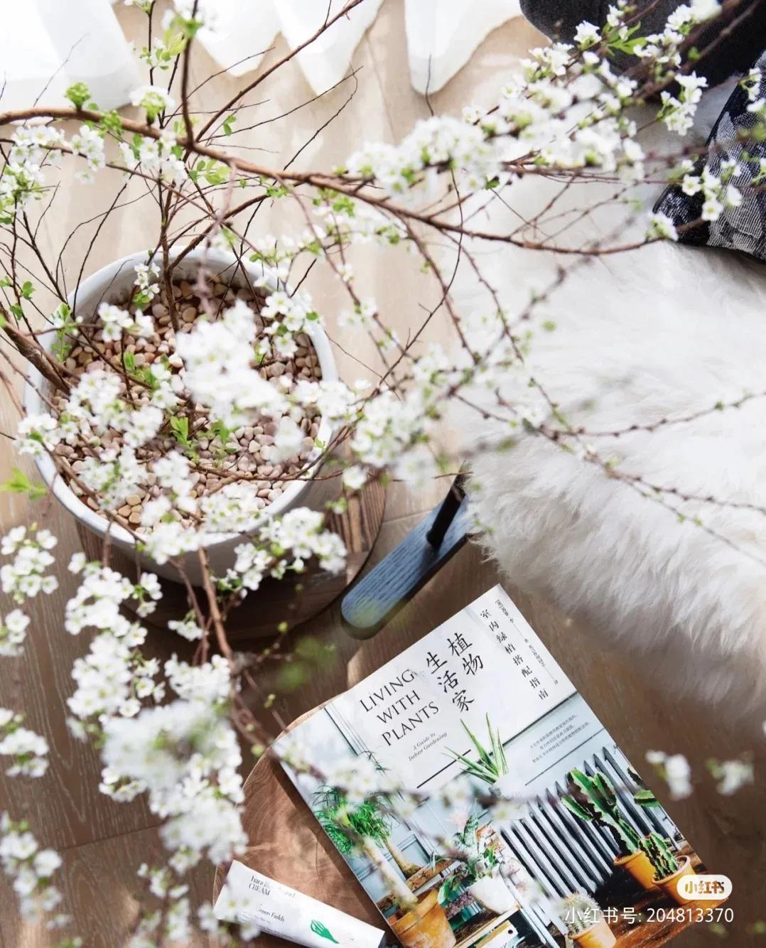 New Year's Eve flowers are ready iMedia