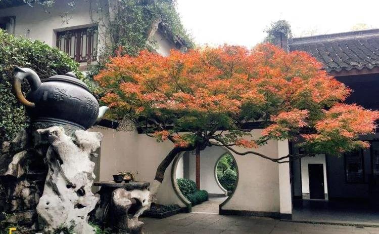 Spring In Hangzhou One-by-one tour of the Millennium Dream Spring Hangzhou Hupao Spring ...