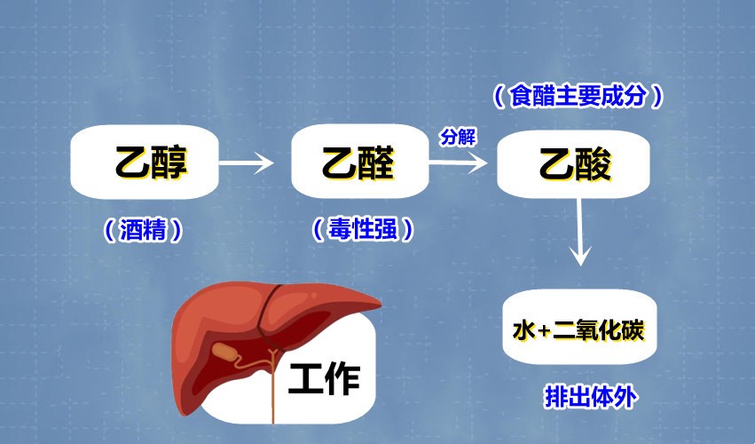 Contraindications for hepatitis B patients. Alcohol is the first item