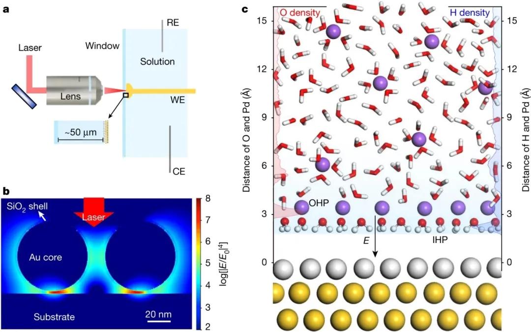 In situ Raman spectroscopy reveals the dissociation of interfacial ...