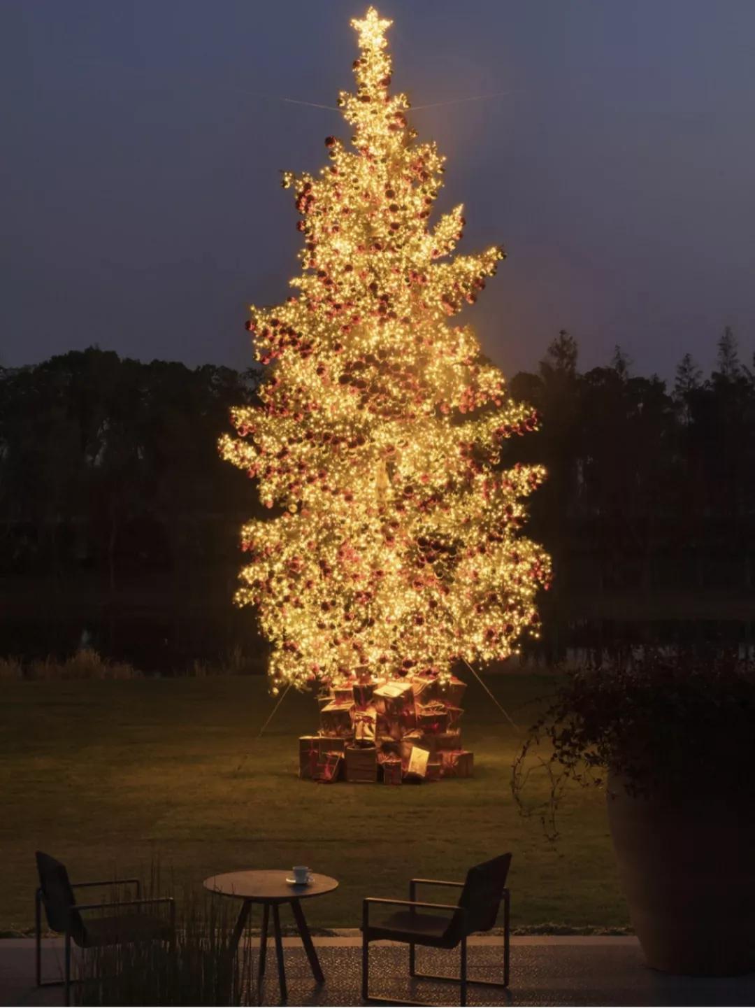 The three Christmas trees with the strongest Christmas atmosphere