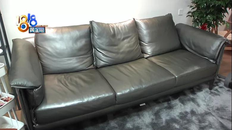 The Protruding Sofa Cushion May Be, Natuzzi Greccio Leather Sofa
