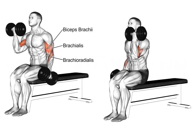  Yao Fitness Exercises All Over The Body You Only Need A Pair Of 