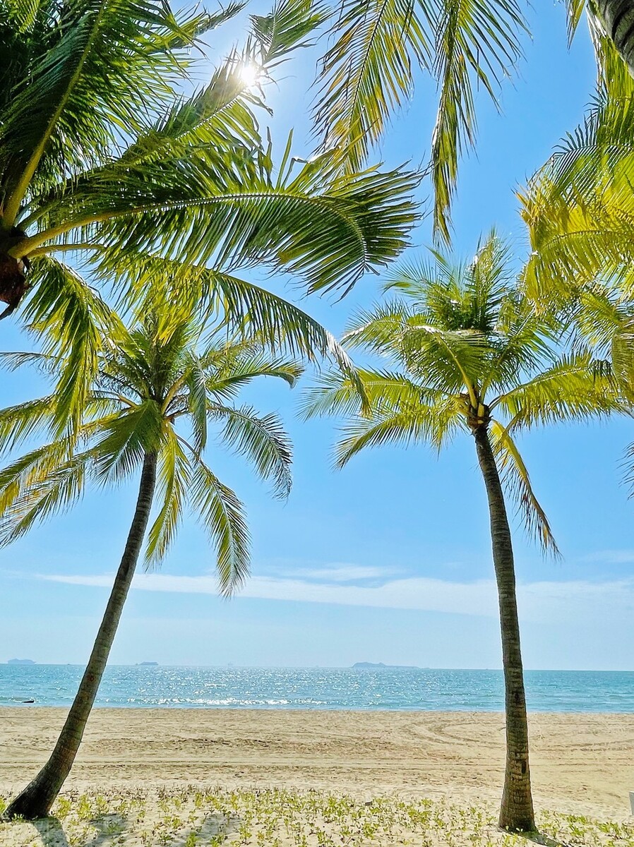 Exclusive: Vertical view of the 20-kilometer Coconut Dream Corridor in ...