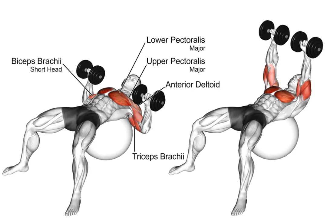  Yao Fitness Exercises All Over The Body You Only Need A Pair Of 