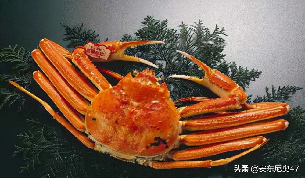 What's the matter with a Japanese crab that sells for 5 million? iMedia
