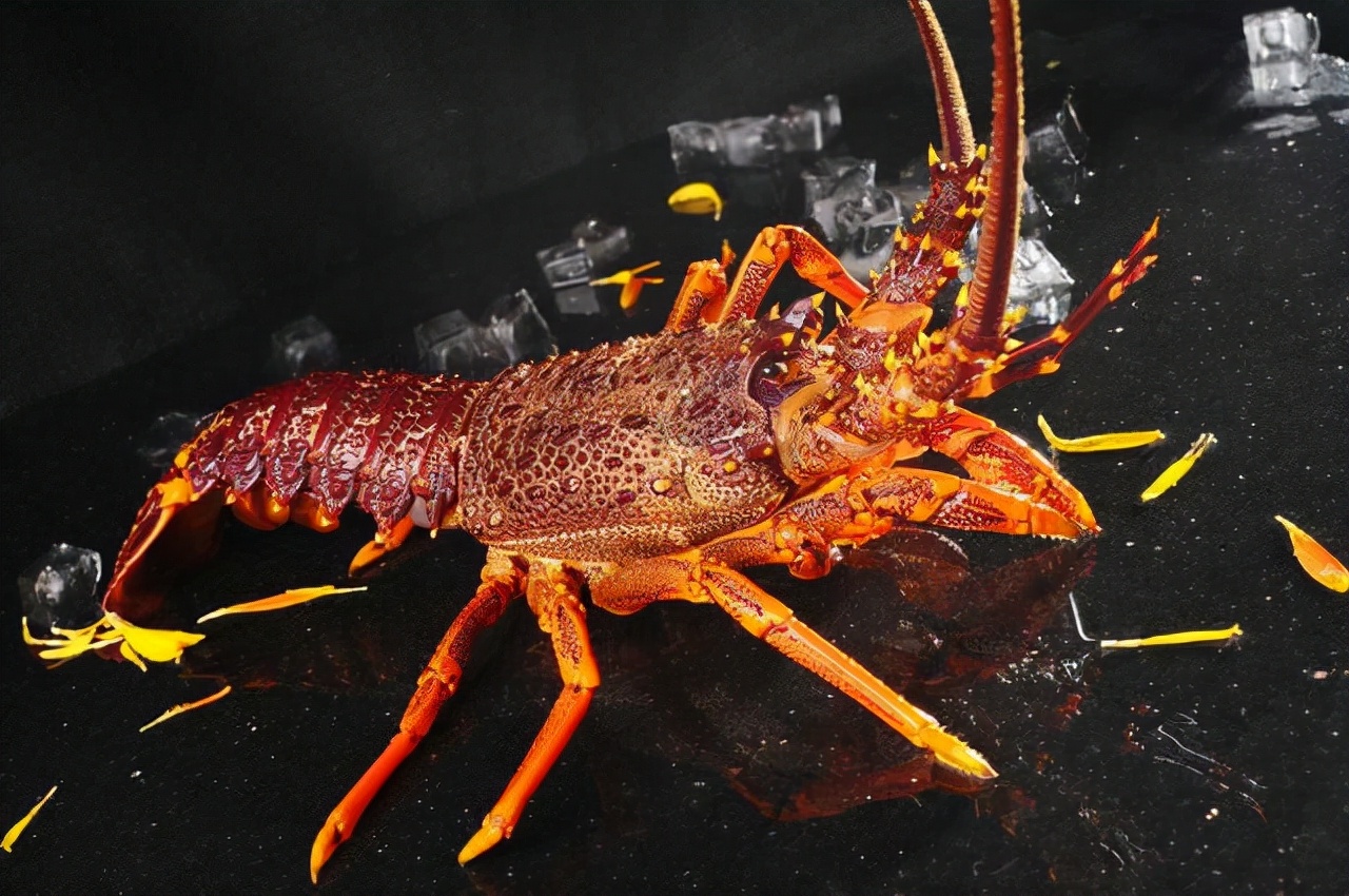 Top 10 Most Expensive Seafood in the World!up to millions of dollars ...