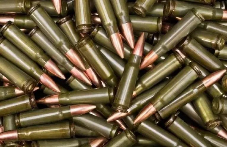 The army's bullets are wasted hundreds of millions a year, so I would ...