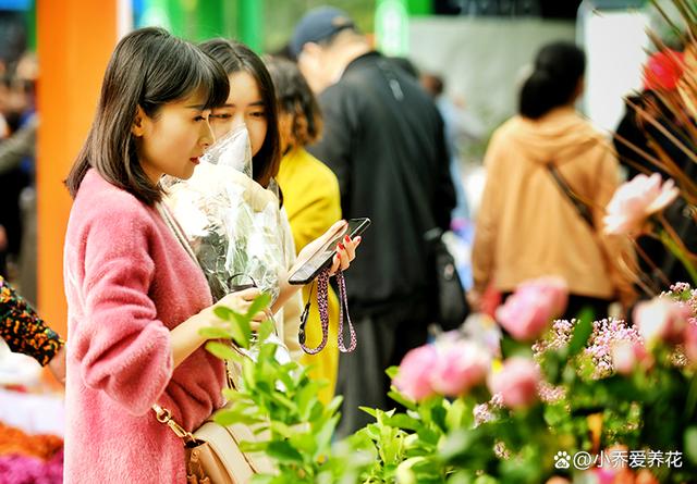 年后逛花市 低价捡漏不该错过的植物有哪些 这3种盆栽最热门 资讯咖