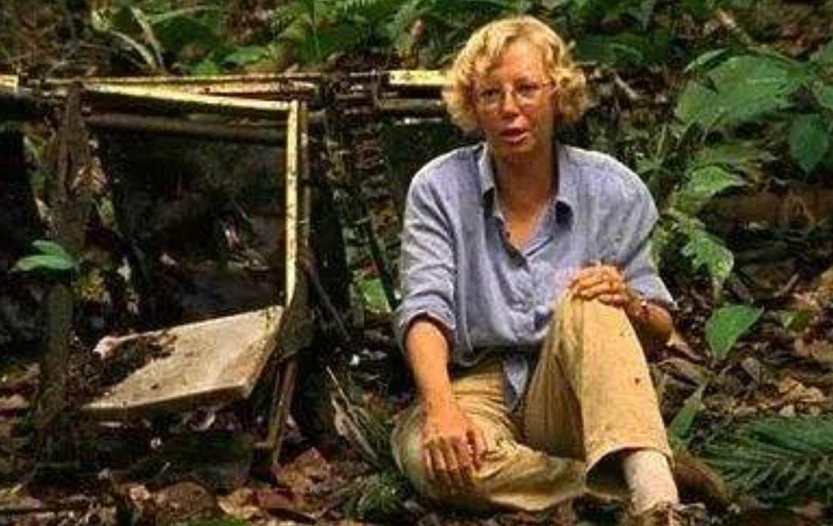 In the Peruvian air crash in 1971, 92 people fell at an altitude of 6,400 meters. What happened