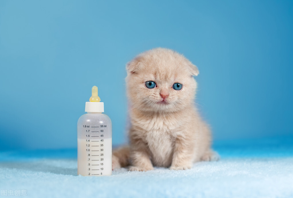 What milk does a 2 month old cat drink iMedia