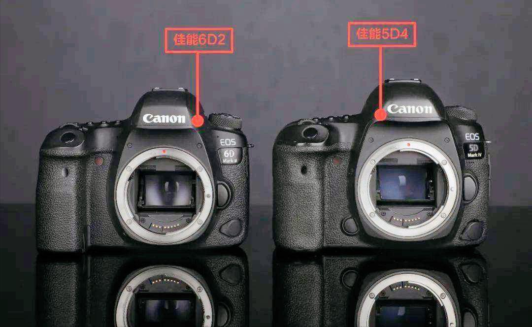 Canon FullFrame SLR and Mirrorless Cameras What Are the Pros and Cons
